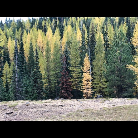 Meet your Posher, Tina - Picture 2 of 5